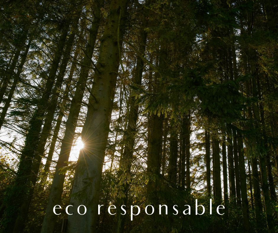 Eco-Responsabilidad en la Fabricación de Muebles: La Belleza Sostenible de Iuglandis