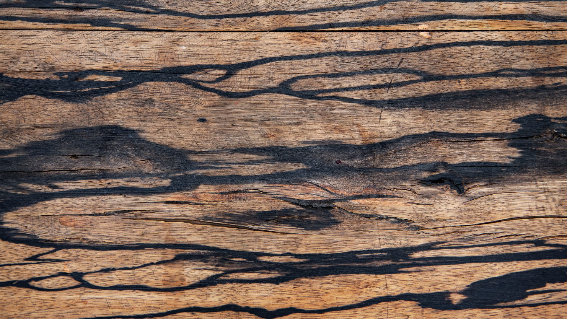 Muebles de madera en Galicia