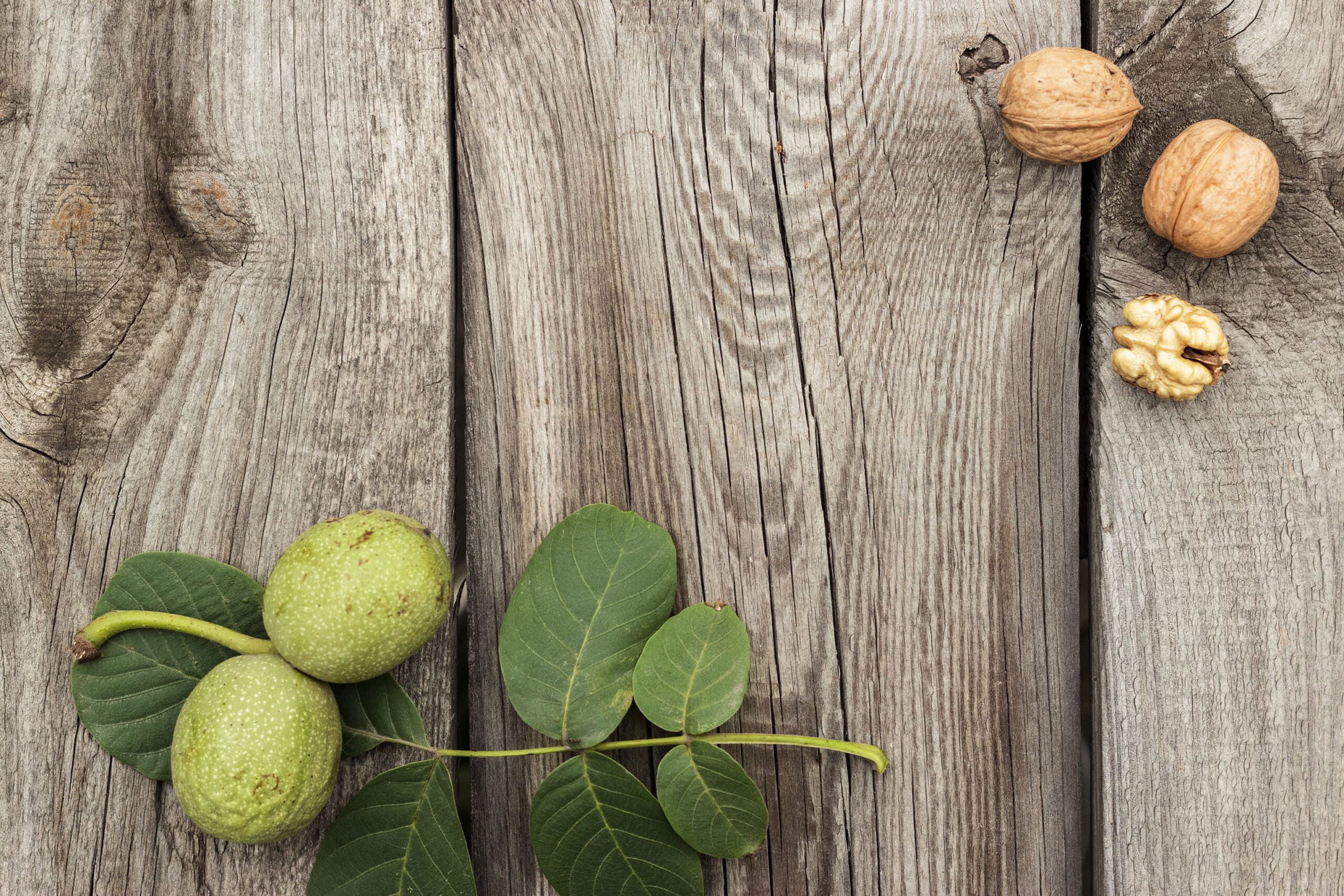 Nueces enteras y abiertas junto a hojas verdes de nogal sobre tablas de madera envejecida